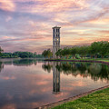 Under a Pastel Sky